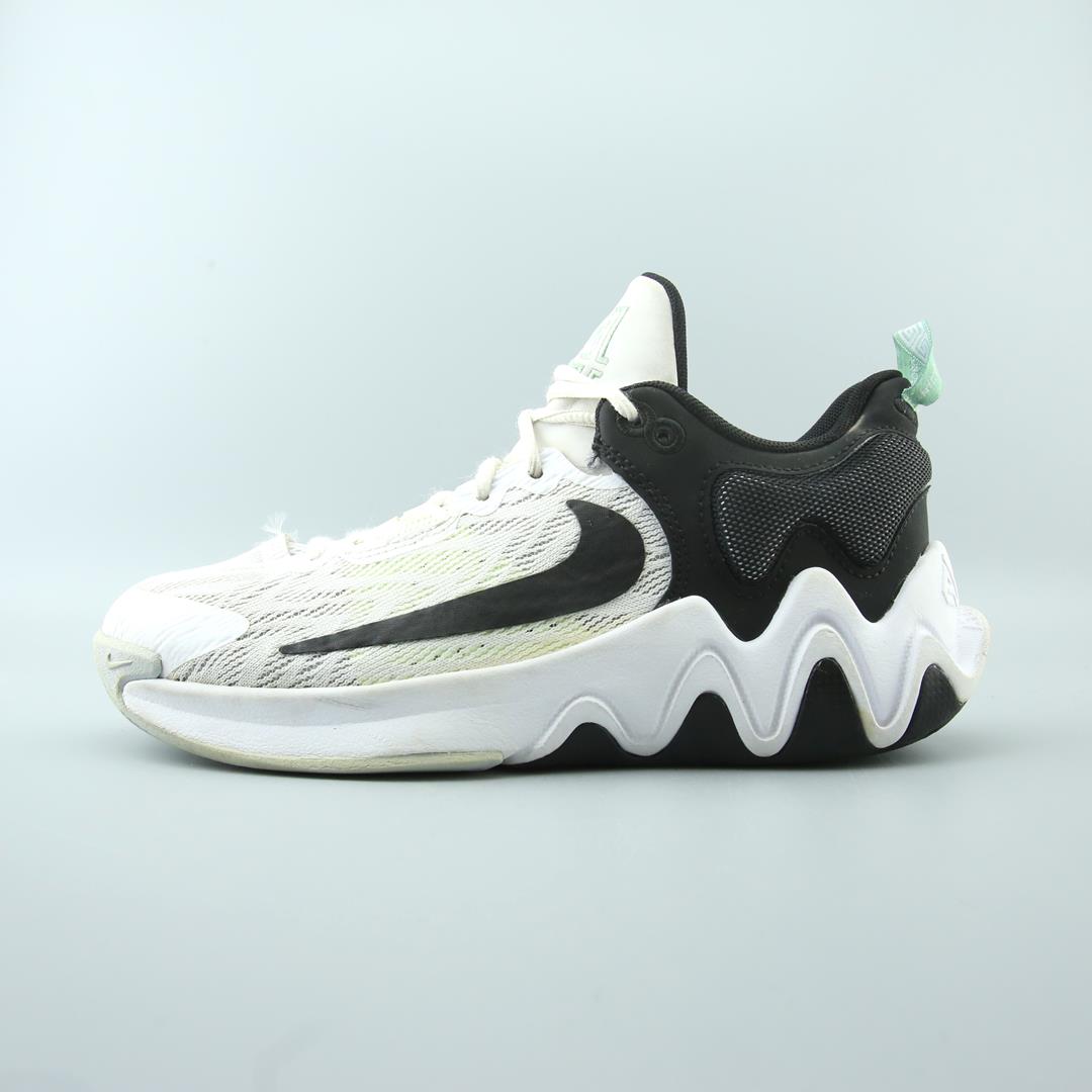 NIKE GIANNIS IMMORTALITY 2