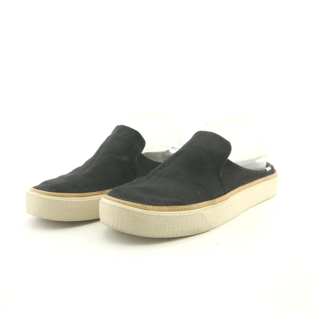 TOMS SUNRISE