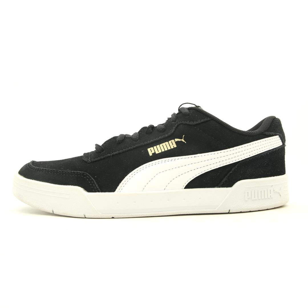 PUMA CARACAL