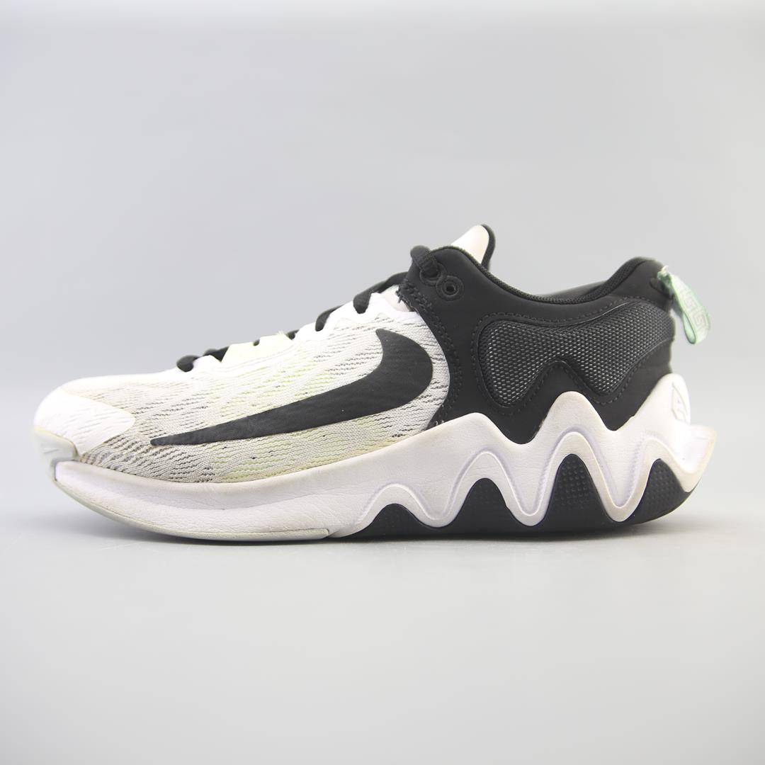 NIKE GIANNIS IMMORTALITY 2