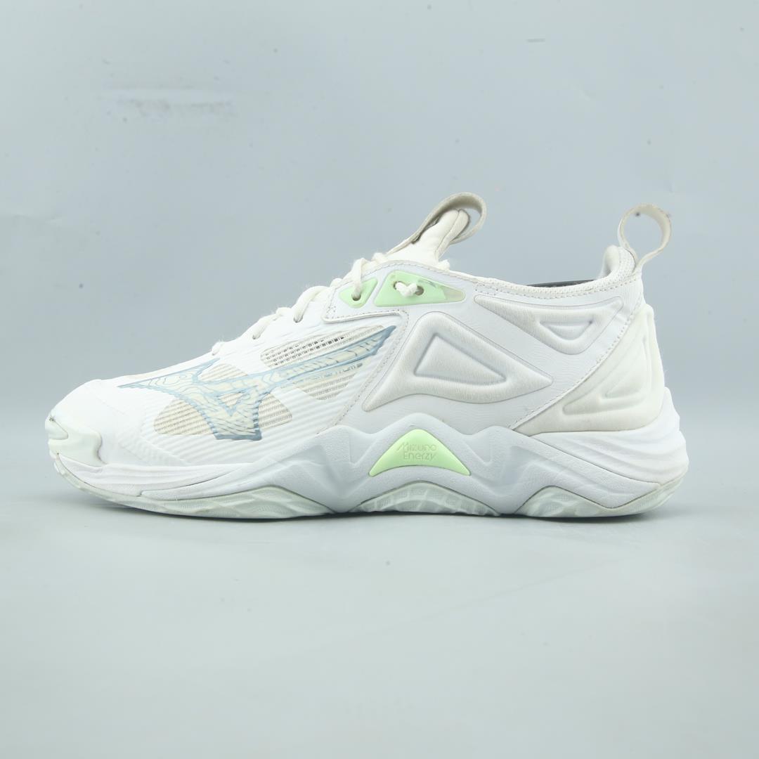 MIZUNO WAVE MOMENTUM 2