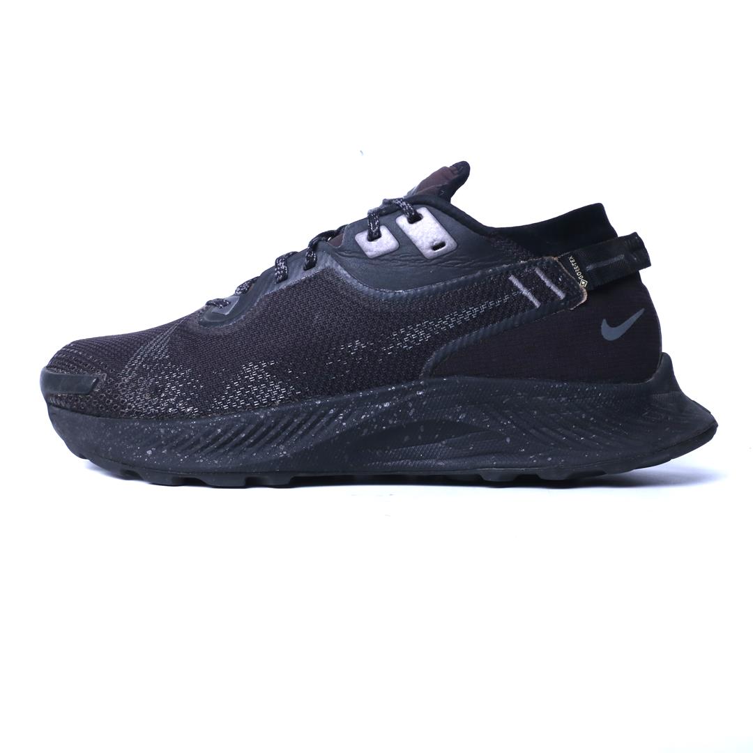NIKE PEGASUS TRAIL 2 GTX