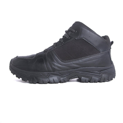 DR SCHOLLS .