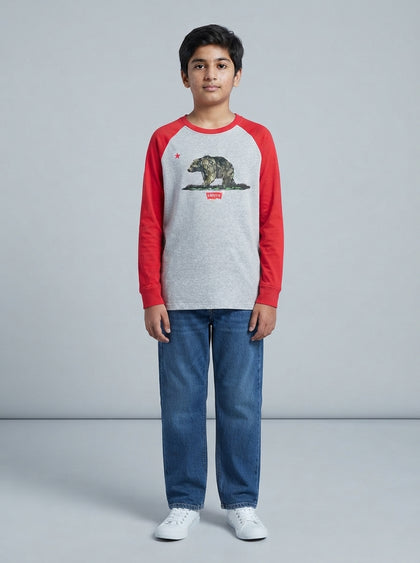 Levi's Basic T-shirt — Teen Boys