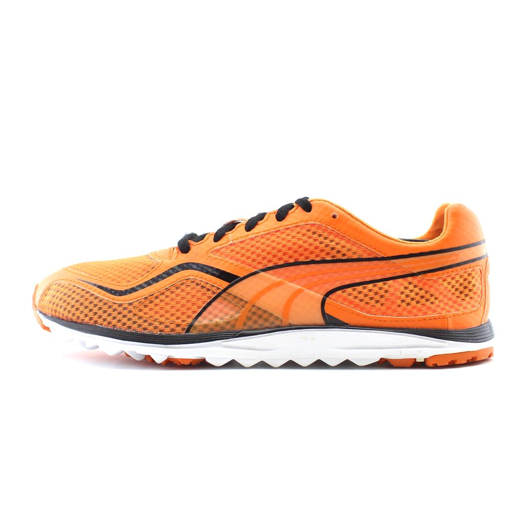 PUMA FAAS