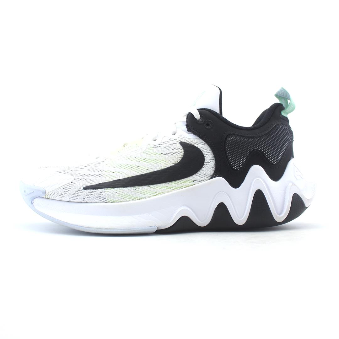 NIKE GIANNIS IMMORTALITY 2